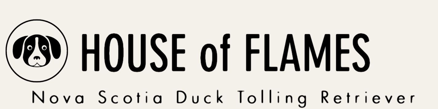 Logo strony HouseofFlames